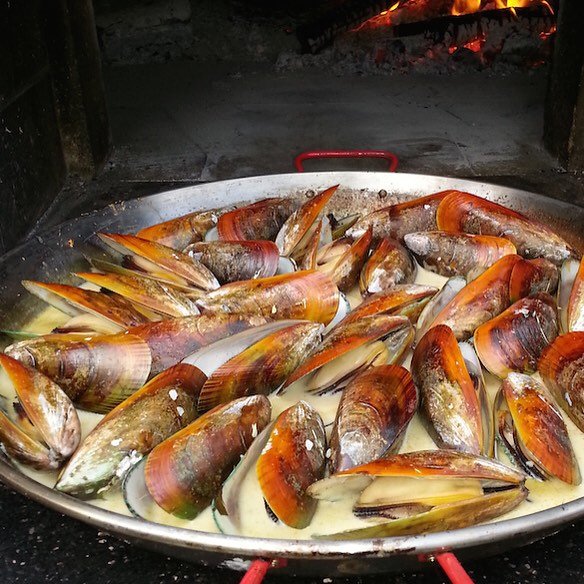 PIZZAIOLI PIZZA OVEN STONE ARCH PREMIUM - Hybrid - Authentic Pizza Ovens