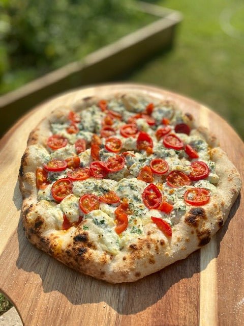 RUSTIC ARCH LISBOA PREMIUM PIZZA OVEN - Hybrid - Authentic Pizza Ovens